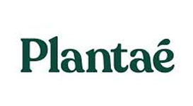 Plantae